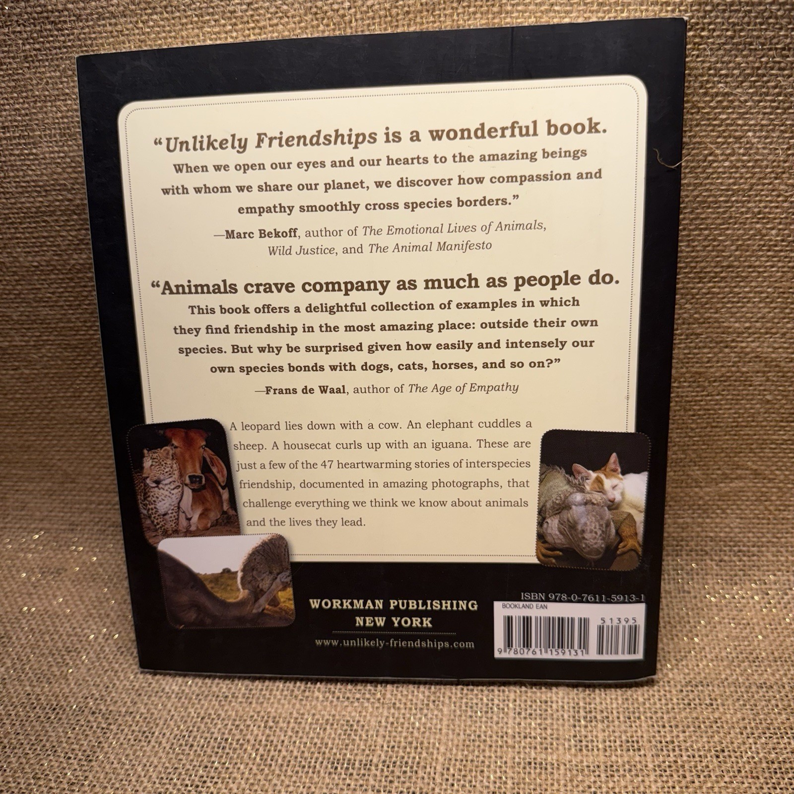 Unlikely Friendships by Jennifer S. Holland (2011, Paperback)