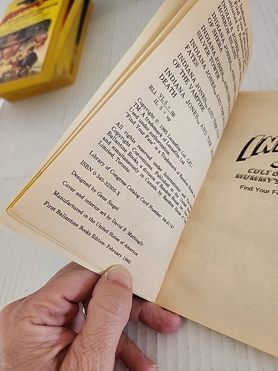 1-7 and 9 Indiana Jones Find Your Fate Adventure books