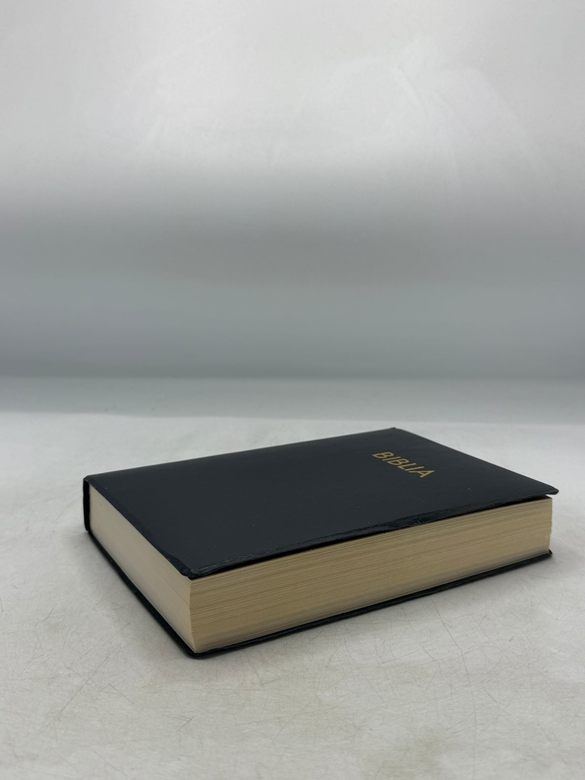 Biblia NBD Nueva Biblia al Día 2008 Grupo Nelson Regalo Spanish Bible