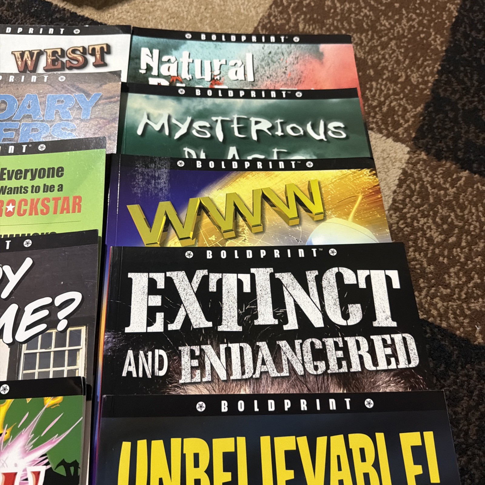 Lot of 21 Boldprint Steck Vaughn Books For Kids