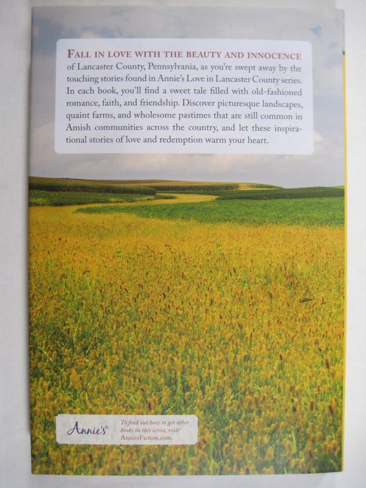 New hardcover Annie’s Fiction Katy Lee 2022 romance faith friendship