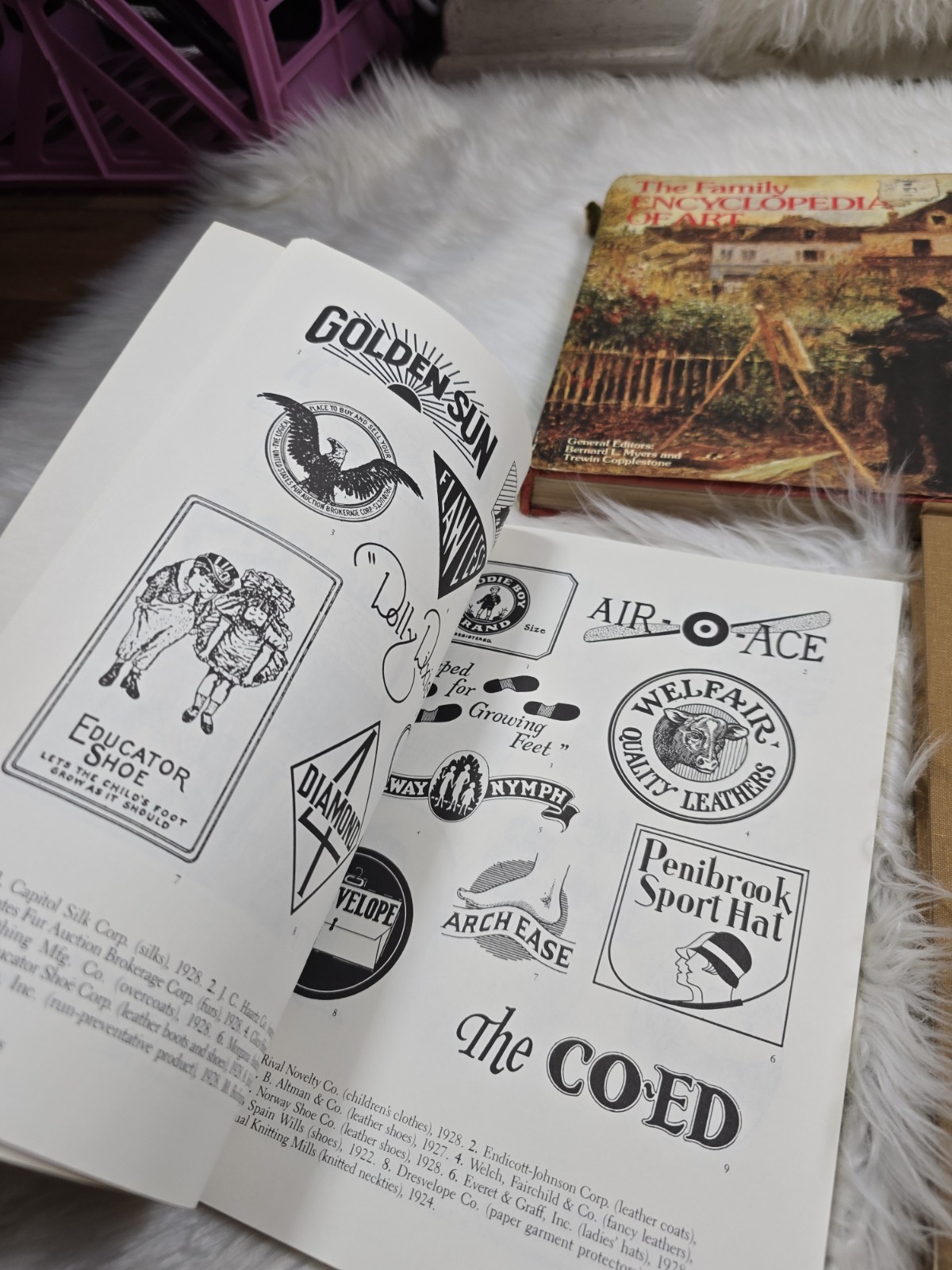 6 Vintage Art Design Color Graphic Print Coffee Table Books How To Bundle B11