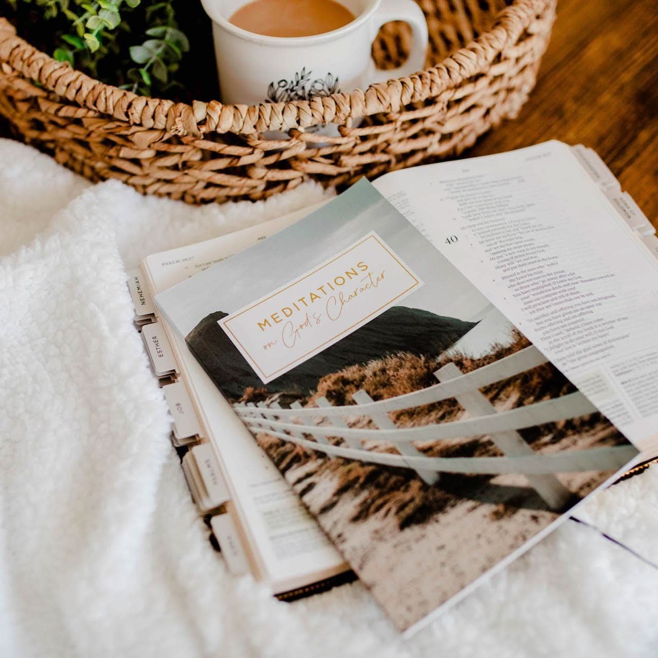 The Daily Grace Co Meditations on God’s Character Bible Study