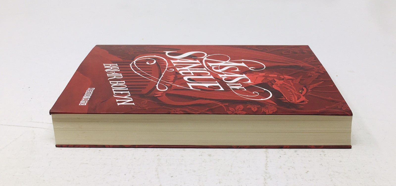Asas de Sangue On Wings of Blood Briar Boleyn in Portuguese Lng YA Fantasy Vol 1
