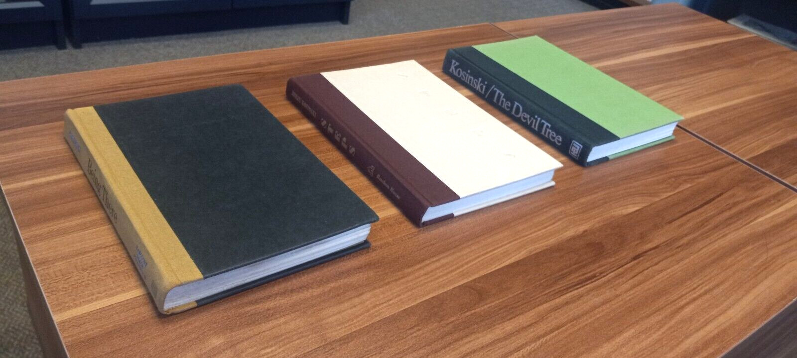 RARE SIGNED TYPESCRIPT AND NOVELS STEPS BEING THERE Jerzy Kosinski Devil Tree