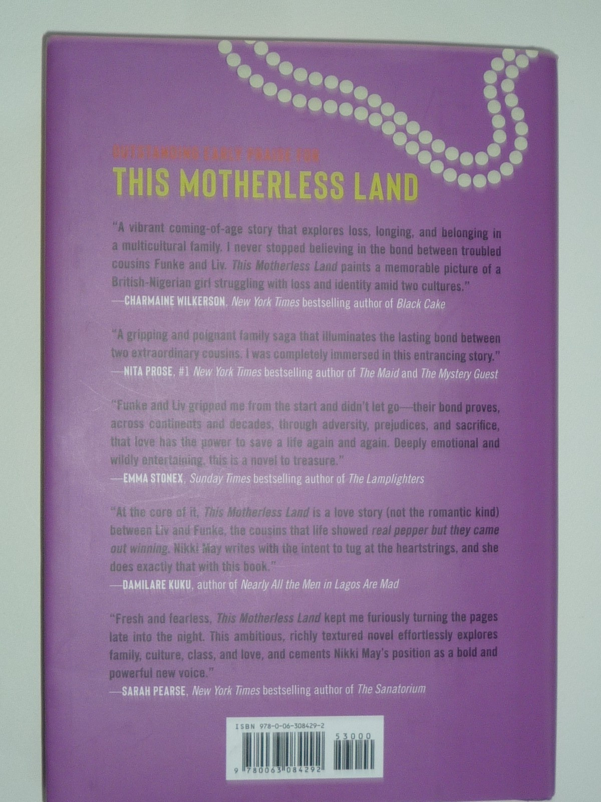 This Motherless Land : A Novel by Nikki May (BRAND-NEW, 2024, HC, 1st Ed.) $9.95