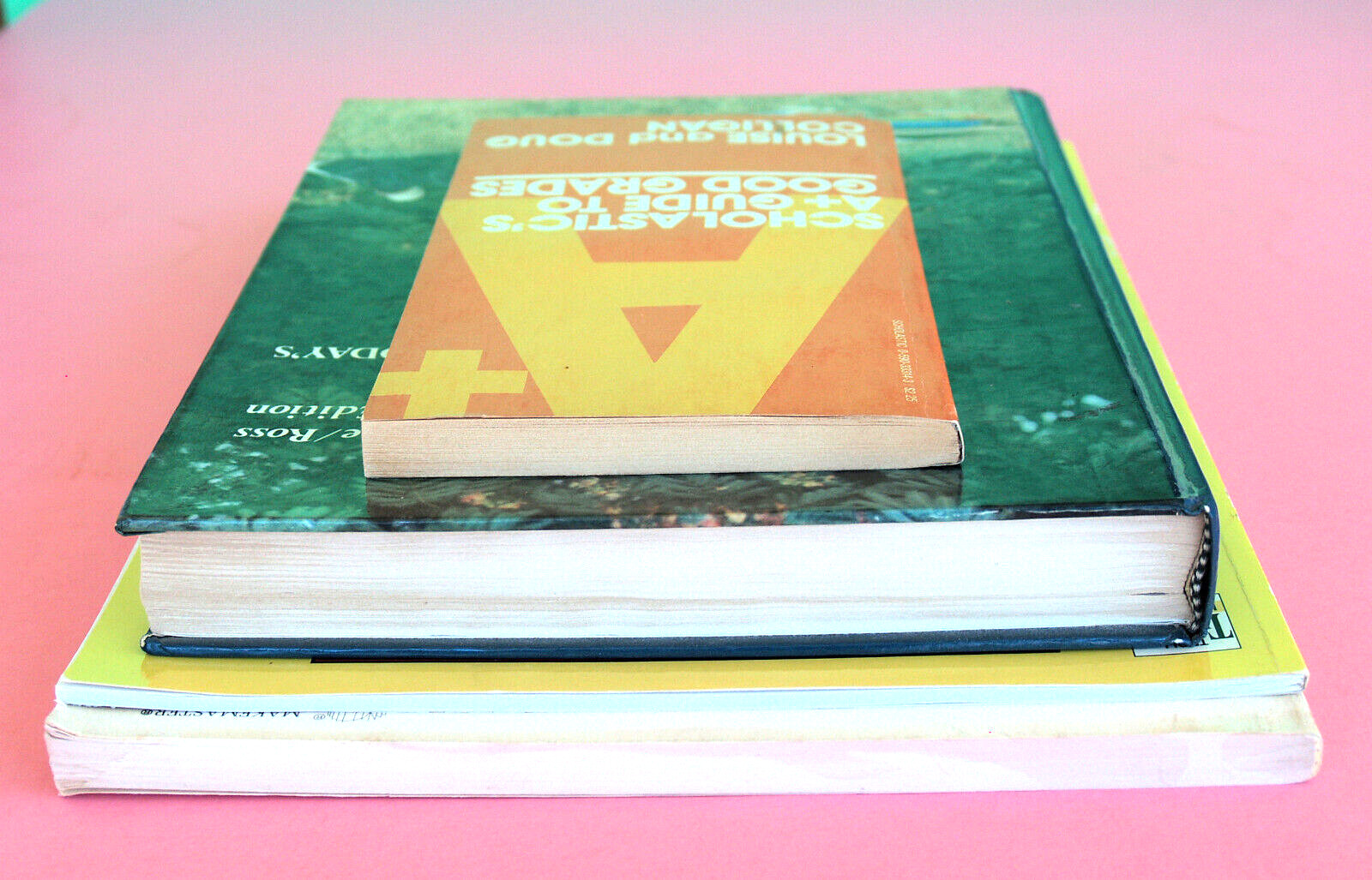 📚 ✏️4 TEACHER BKS—TEACH READING BURNS & ROE—CREATIVE PROJECTS—CLASS NOTES GUIDE