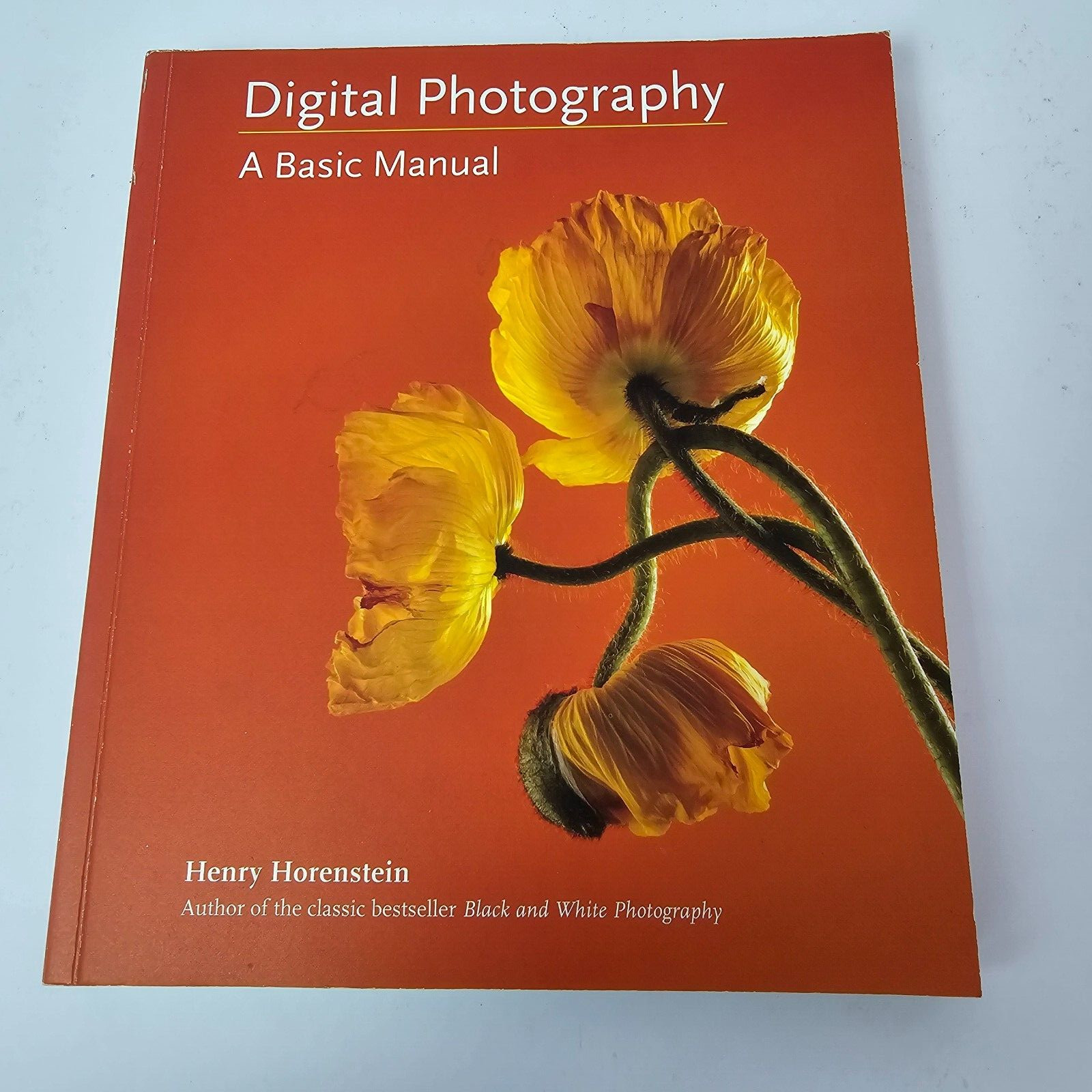 Digital Photography: A Basic Manual by Henry Horenstein