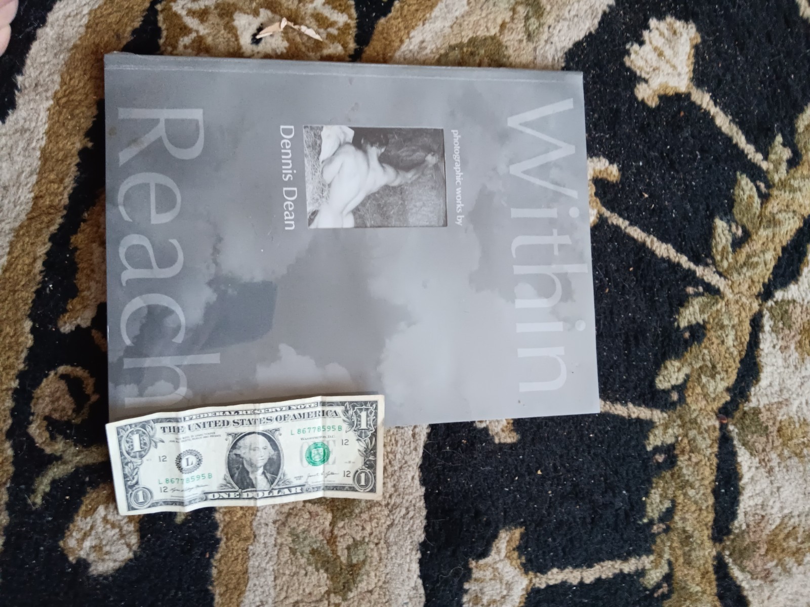 Within Reach Dennis Dean Gay Nude Male Art Photo Book 1st Edition 2001 Sealed