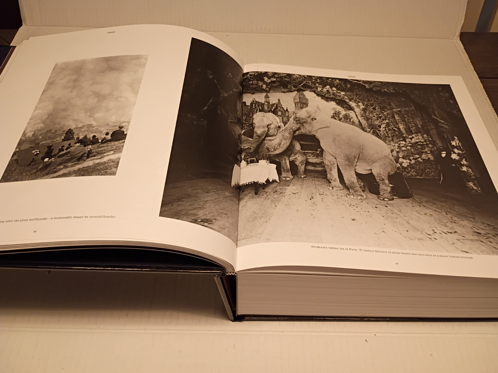 Century By Bruce Bernard Pictures Of The Past Century Hardcover