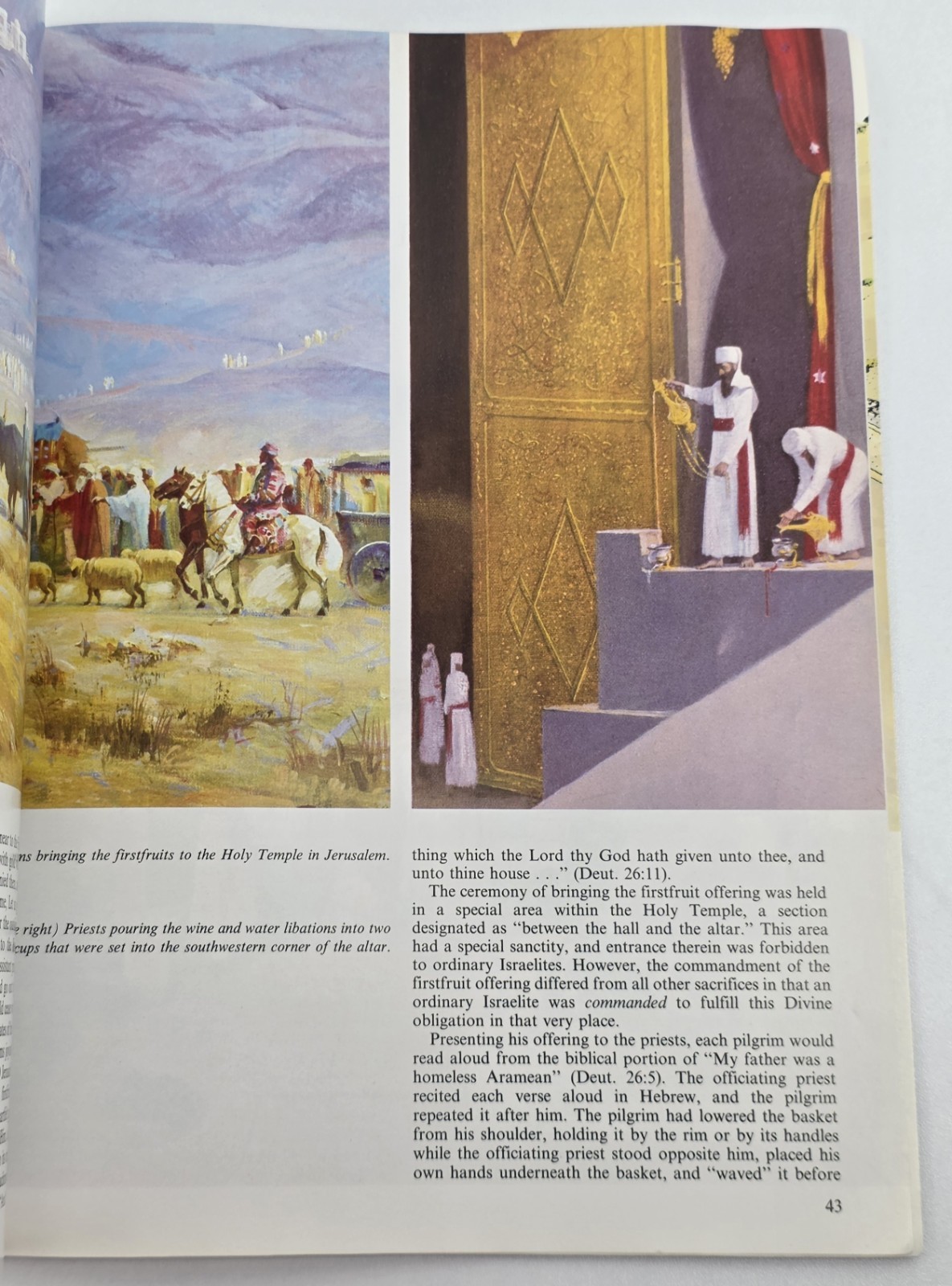 Chaim Richman A House of Prayer for All Nations Jerusalem Temple Illustrated