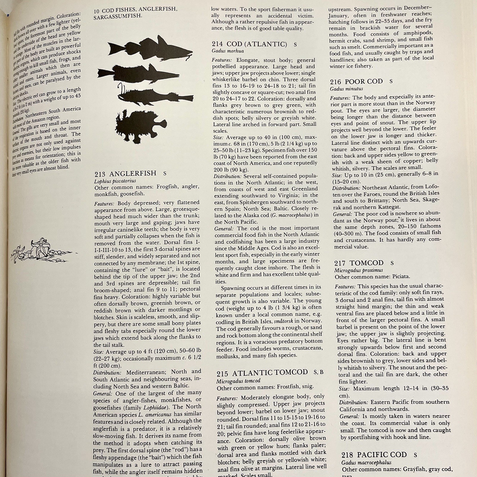 ‘The Lore of Sportfishing’ by Tre Tryckare, E. Cagner; 1976 First U.S. Edition