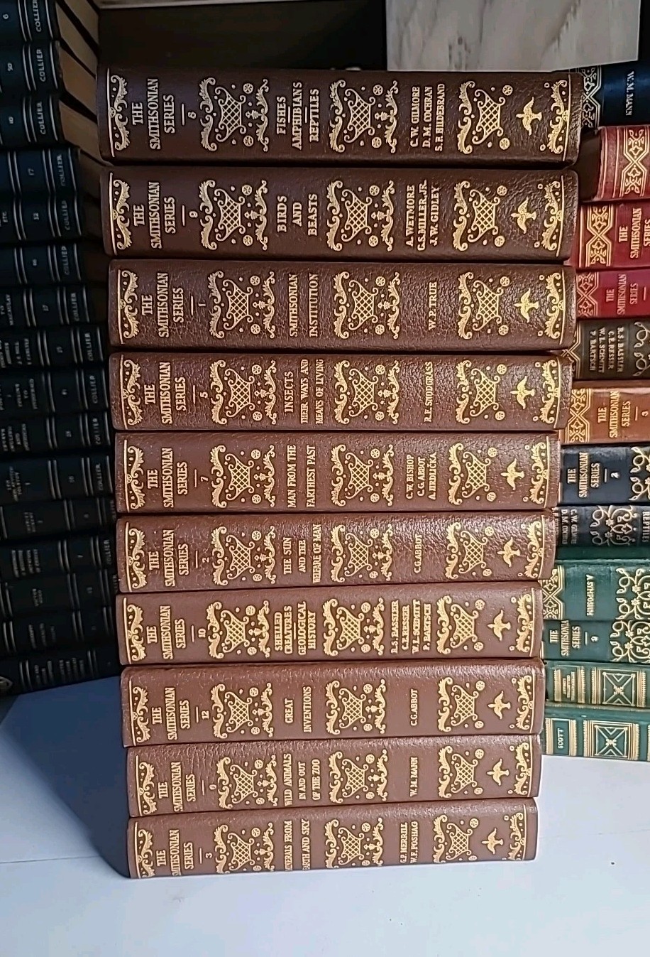 Smithsonian Scientific Series Set of 10 Hardcover Illustrated Volumes – Ornate B