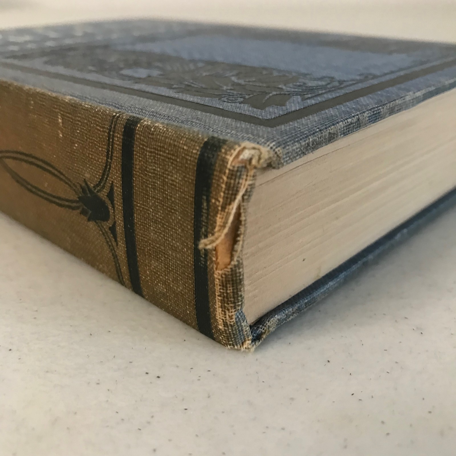 Ellen Glasgow: The Romance Of A Plain Man 1909 & The Battle Ground 1902