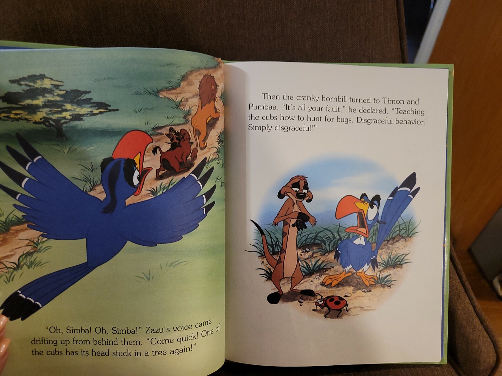 “Lion King The Pal Patrol” Hardcover Book Disney’s Storytime Treasures Library