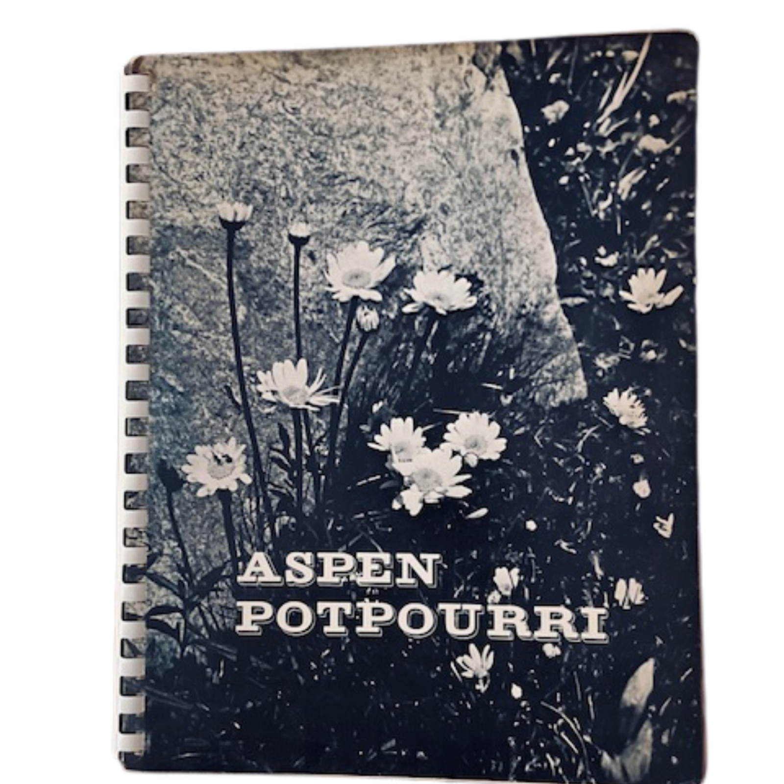 Vtg. ASPEN POTPOURRI Recipes & Ideas (signed copy) by Mary Eshbaugh Hayes (1968)
