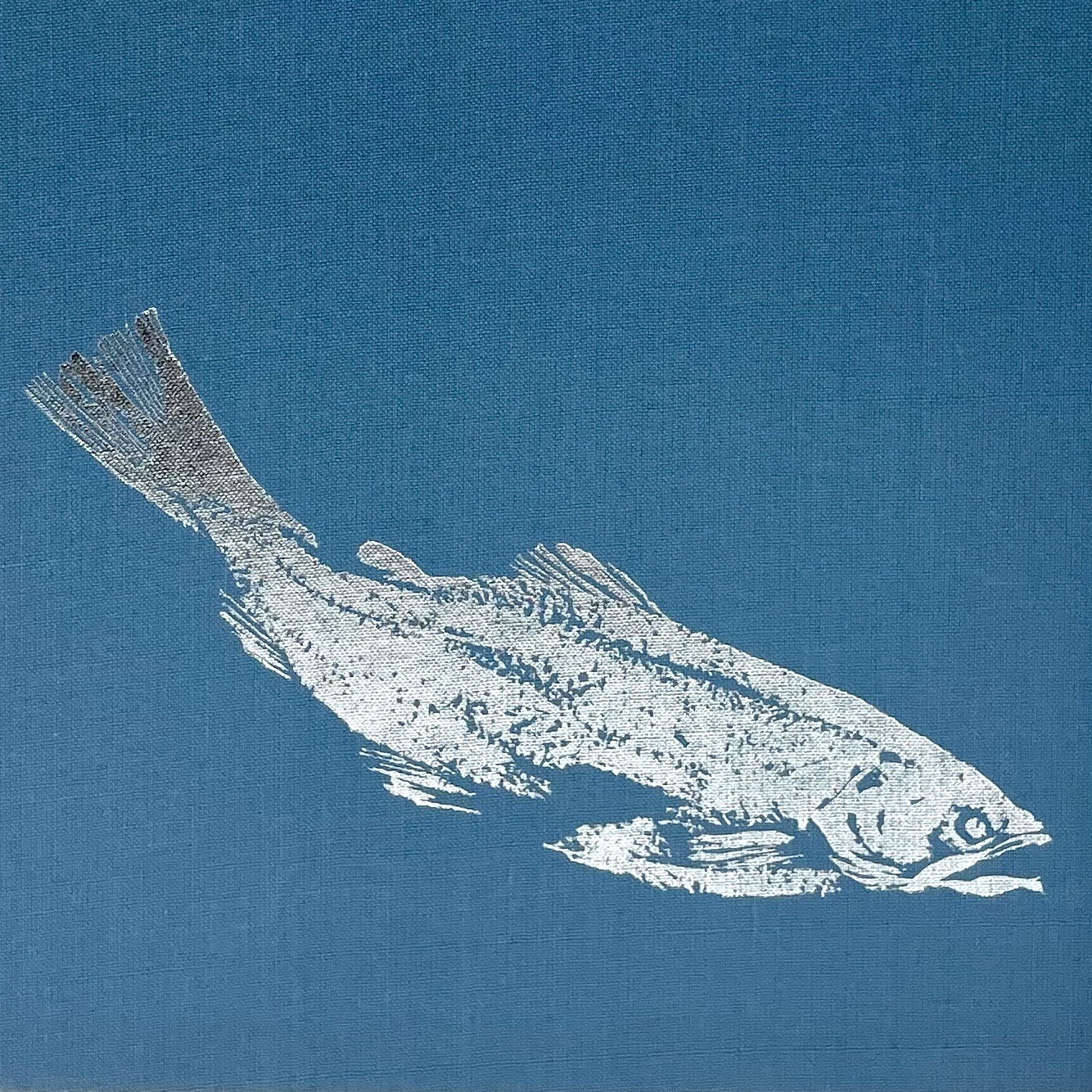 ‘The Lore of Sportfishing’ by Tre Tryckare, E. Cagner; 1976 First U.S. Edition