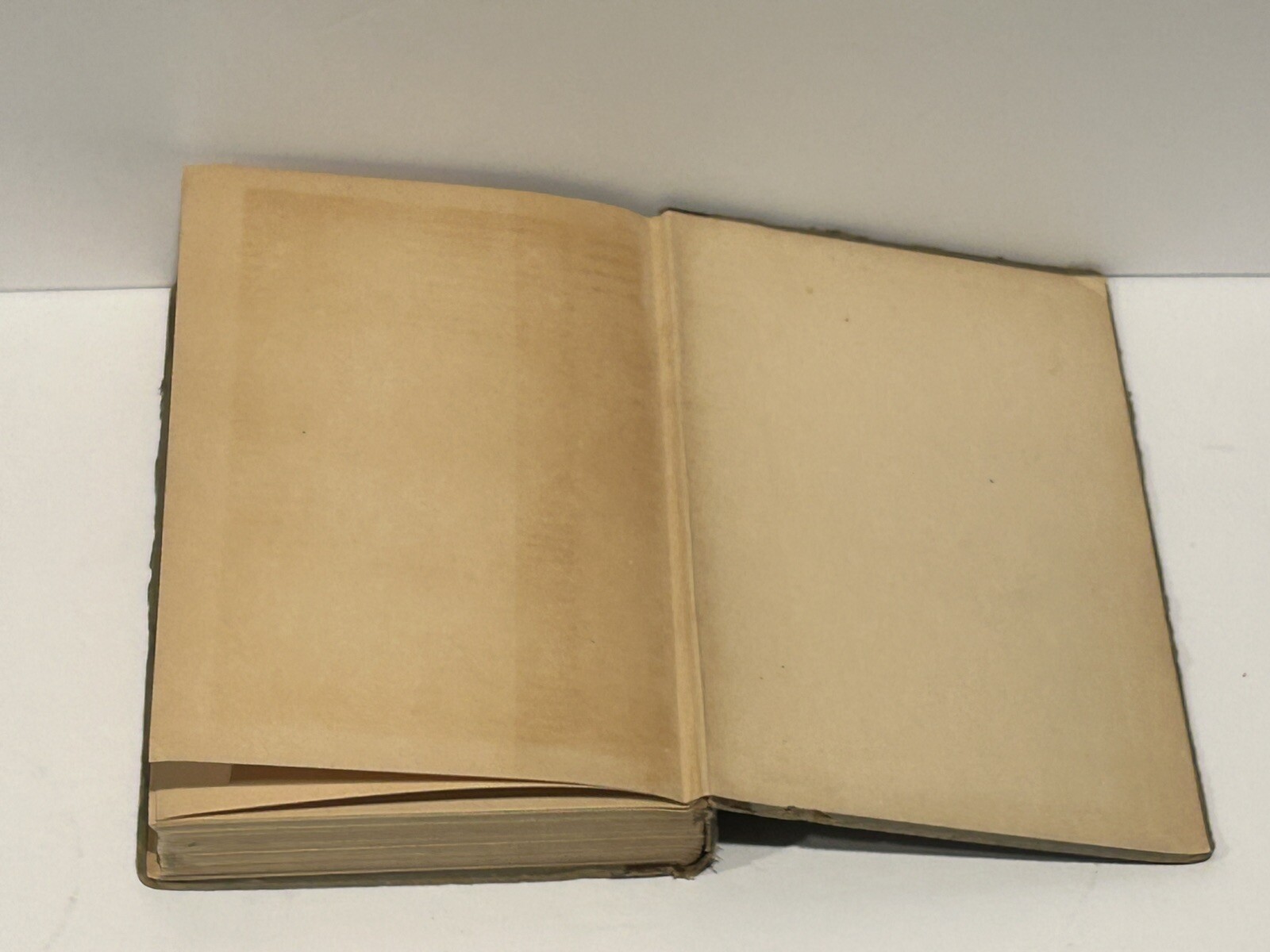 1922 Practical Art Anatomy, Human Skeletons and Musculatory Systems for Artists
