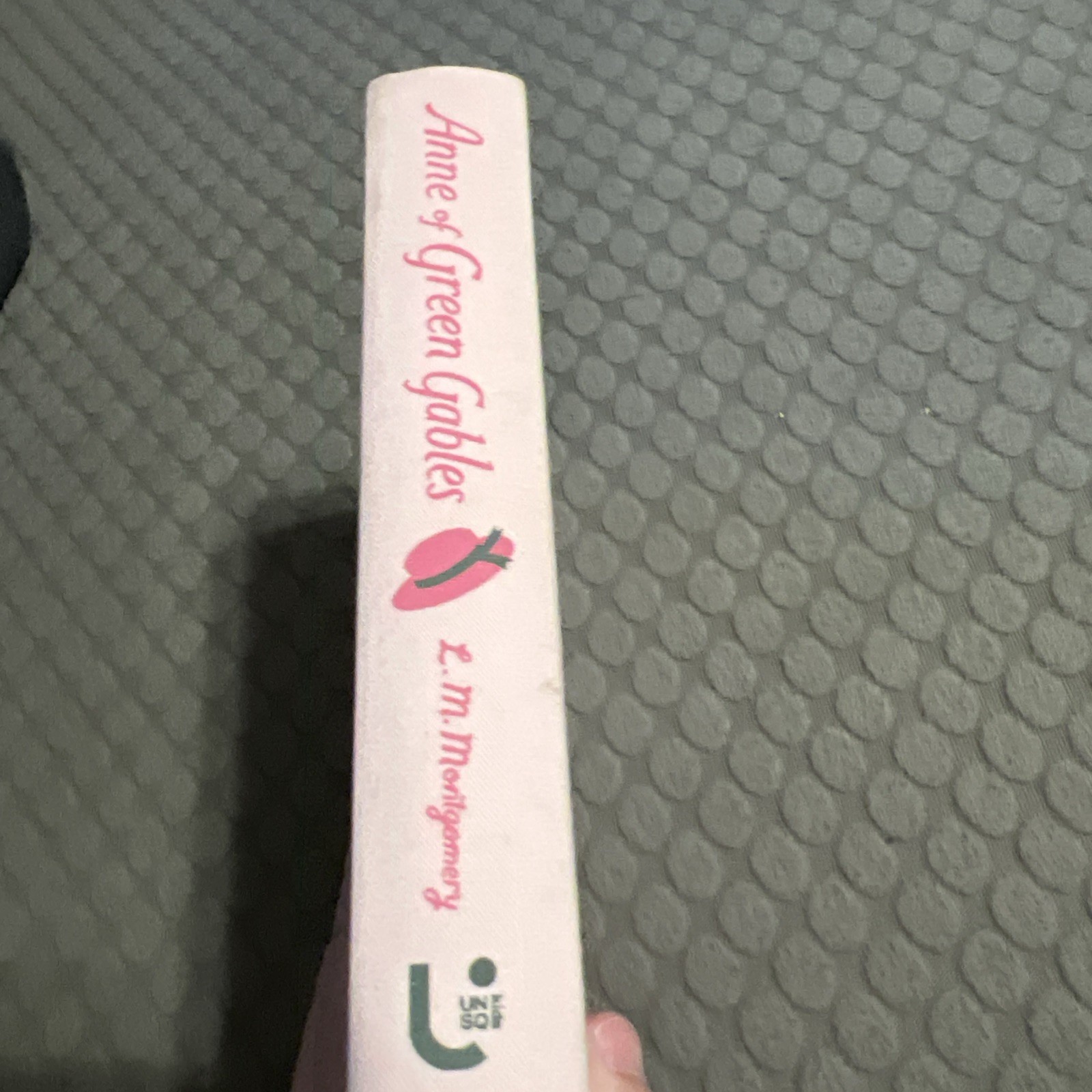 Anne of Green Gables – Sprayed Edges – Illustrated – Union Square Kids