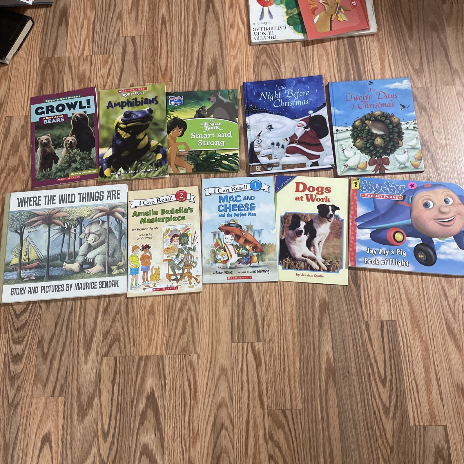 Lot of 10 Mystery Books RANDOM*MIX UNSORTED