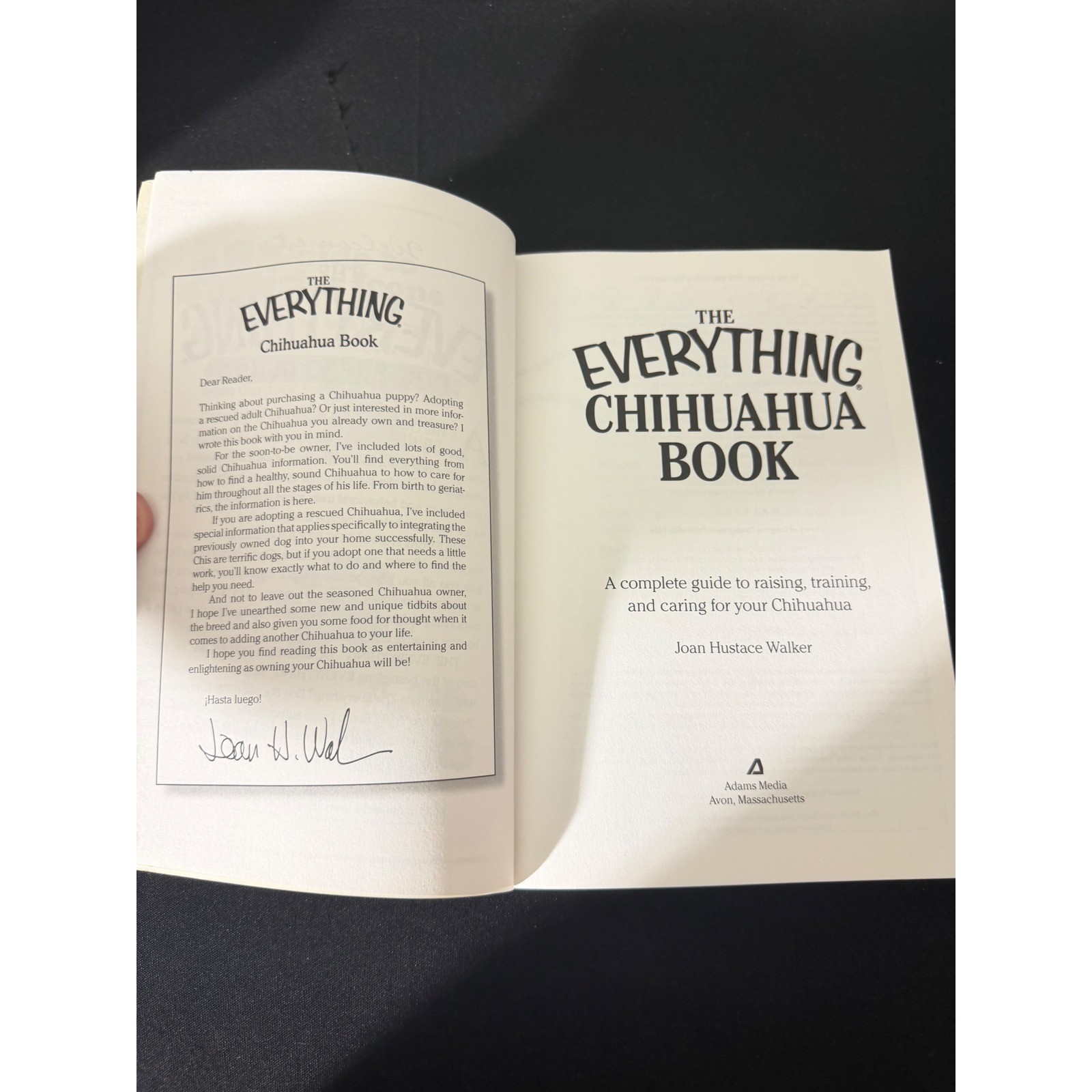 Adams Media The Everything Chihuahua Book Paperback White Excellent Pet Guide