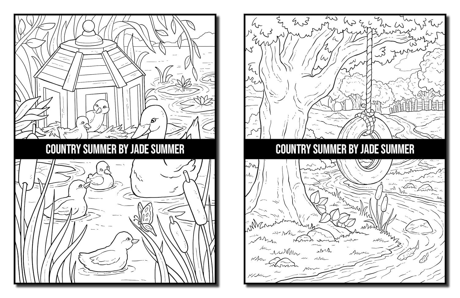 Country Summer: An Adult Coloring Book with 50 Detailed Images of Charming Count
