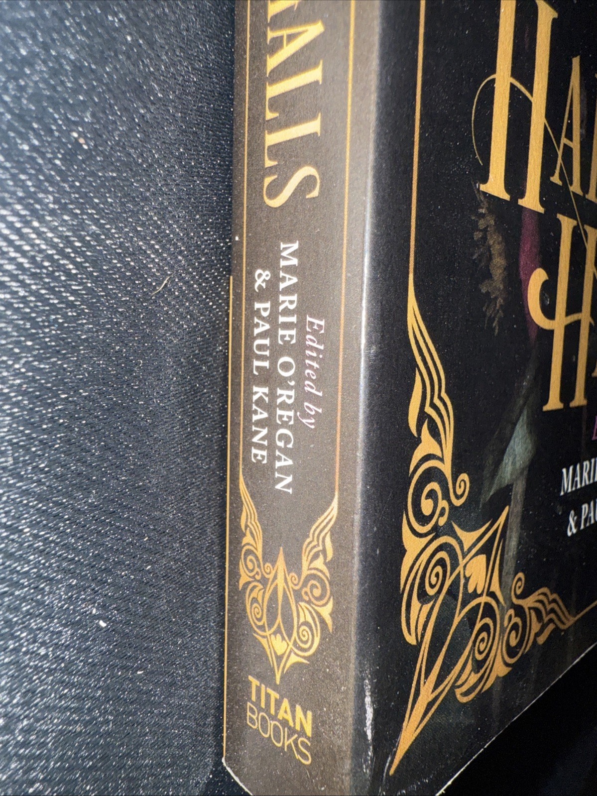 In These Hallowed Halls: A Dark Academia Anthology by M. L. Rio