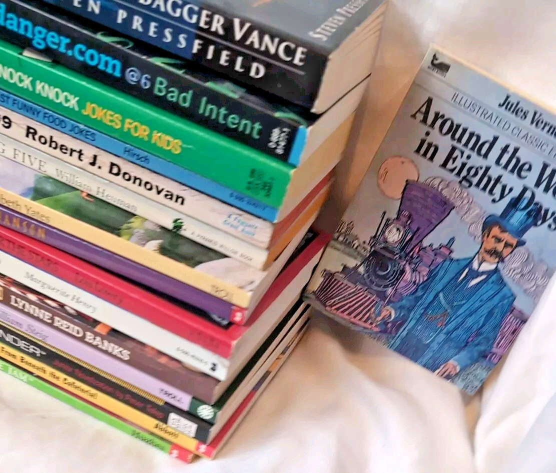 Books For Pre Teens Lot Of 16 Fiction Paperback