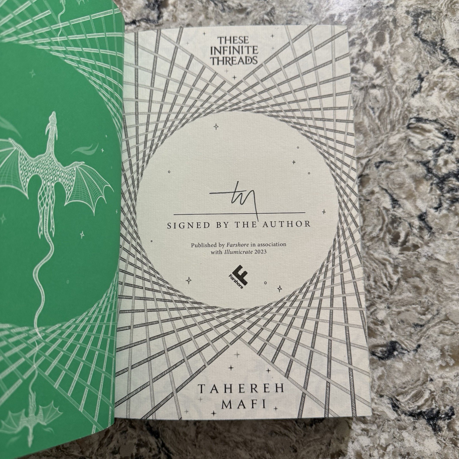 Illumicrate These Infinite Threads By Tahereh Mafi Hand SIGNED