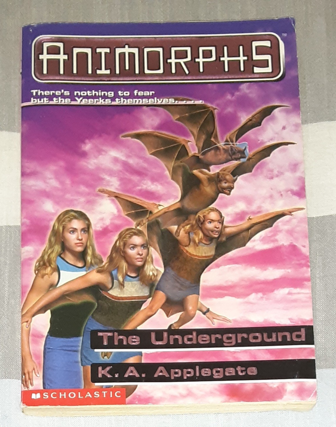 Animorphs Book Lot of 21 (K.A. Applegate, Paperback)
