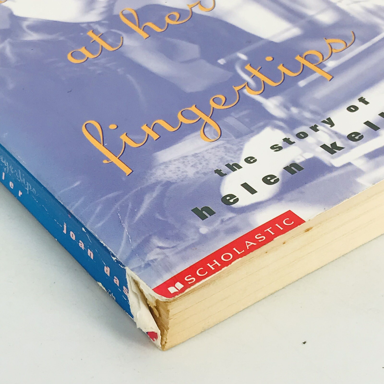 The World at Her Fingertips: Helen Keller by Joan Dash (Small Paperback 2001)