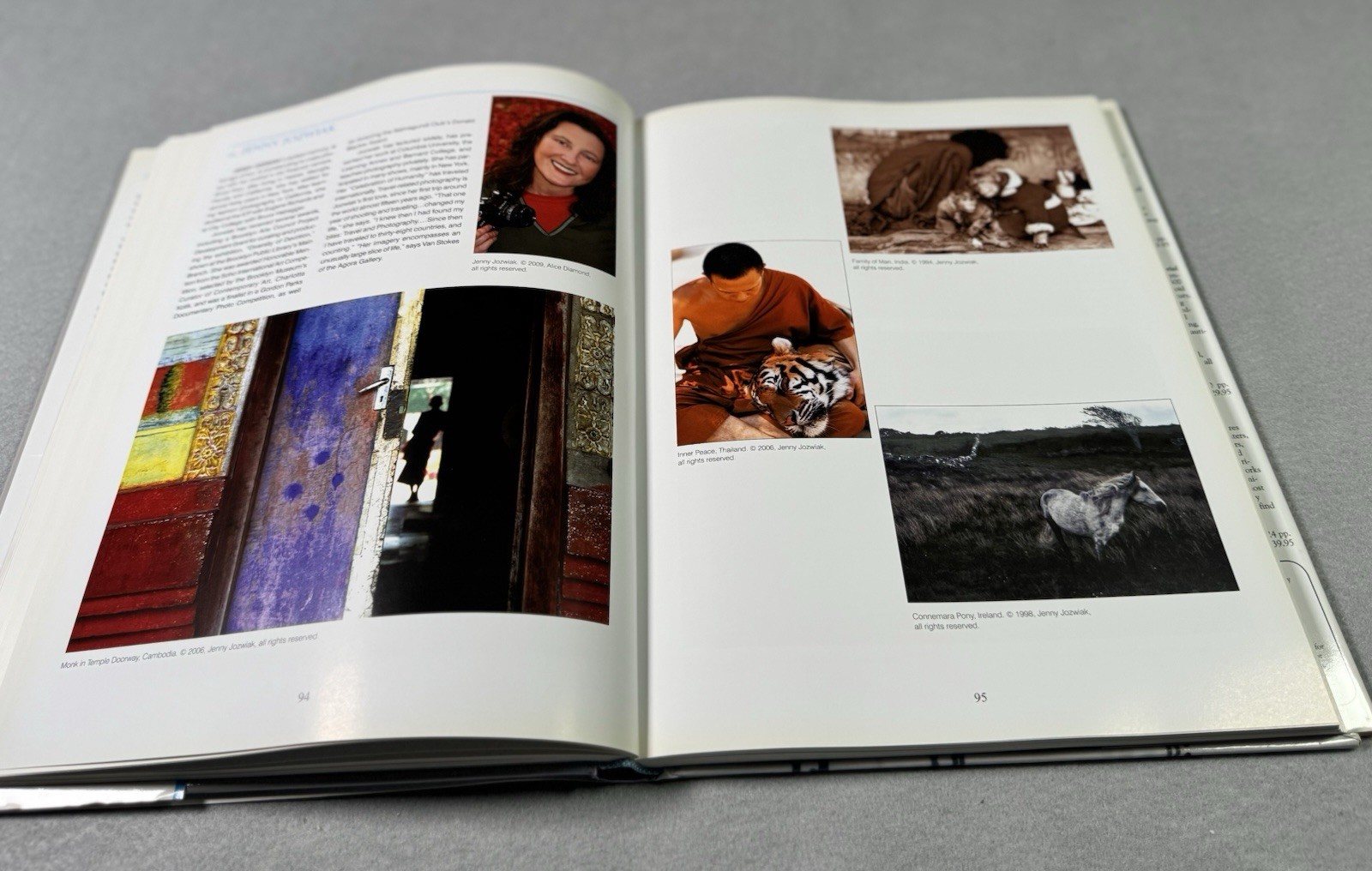 100 New York Photographers by Cynthia Maris Dantzic (2009, Hardcover)