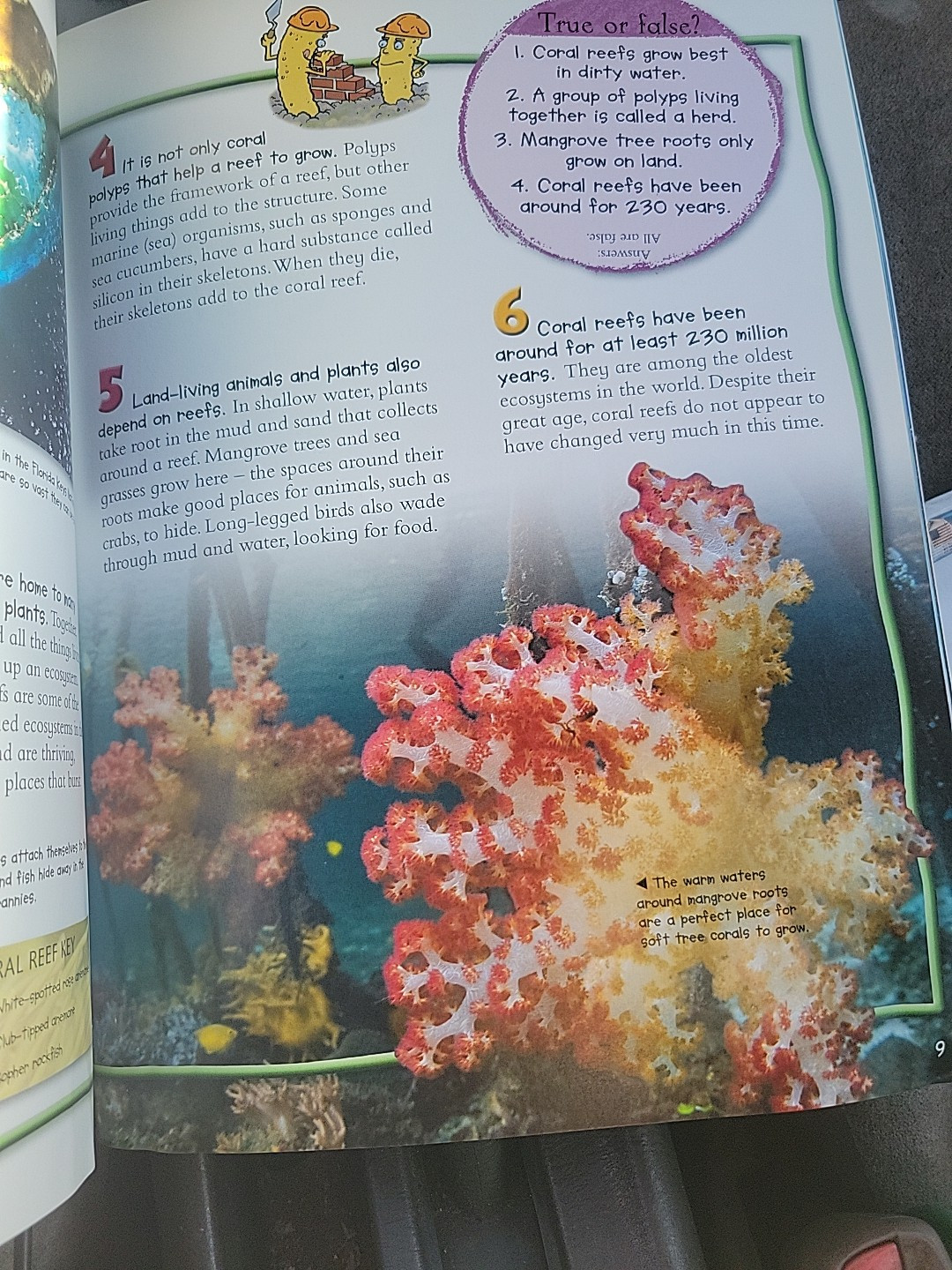 100 Facts – Coral Reef – Paperback By Camilla De La Bedoyere – GOOD