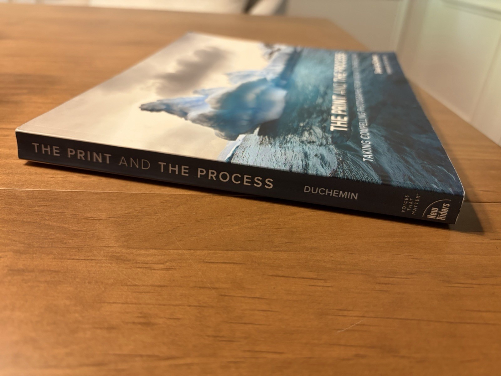 The Print and The Process: Taking Compelling Photographs from Vision to Expressi