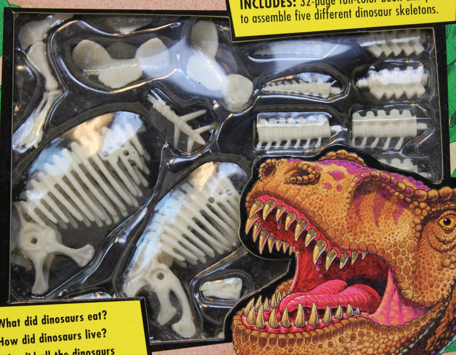 Dennis Schatz Totally Dinosaurs Book Bone Skeleton Model Assembly Paleontology