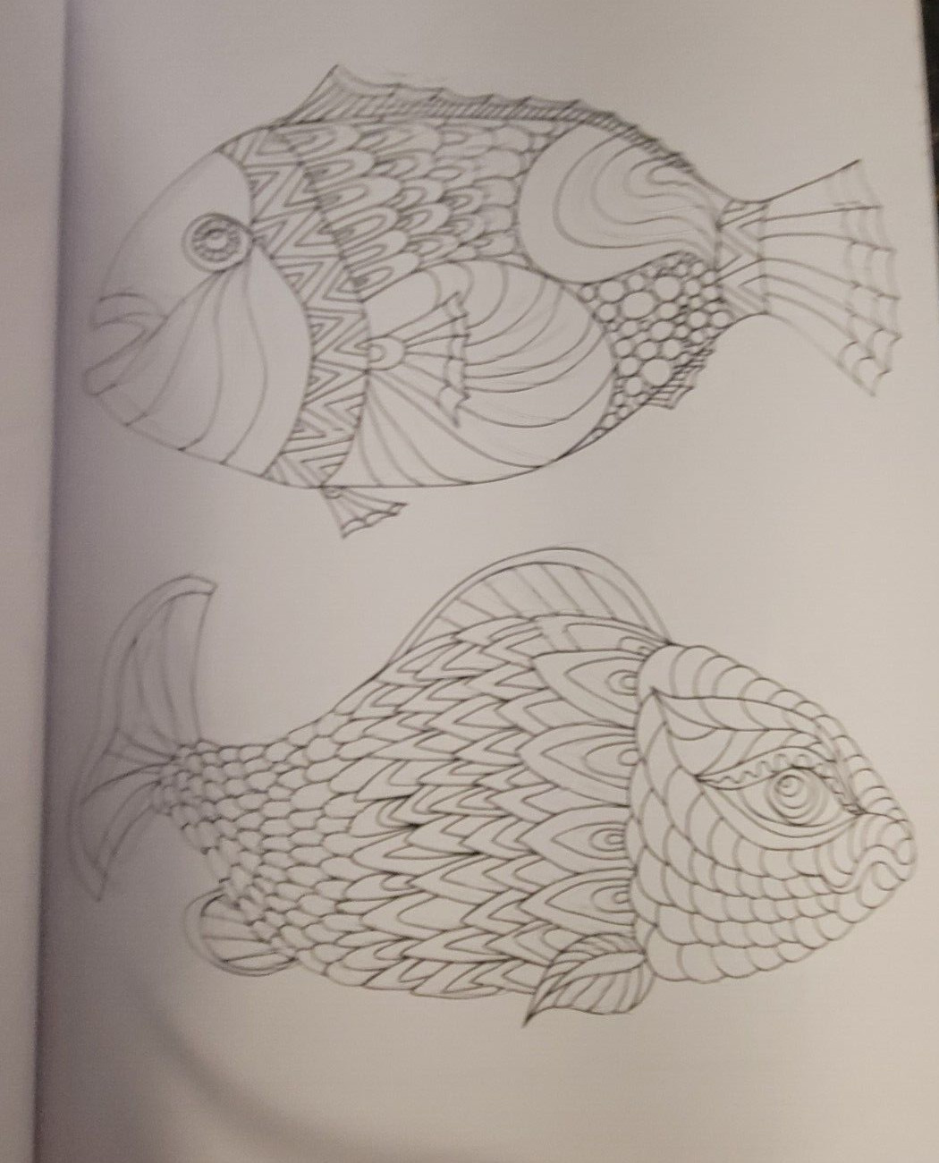 SEASUDE ESCAPES Adult Coloring Book With 62 Prints Ready To Color Relaxing Calm