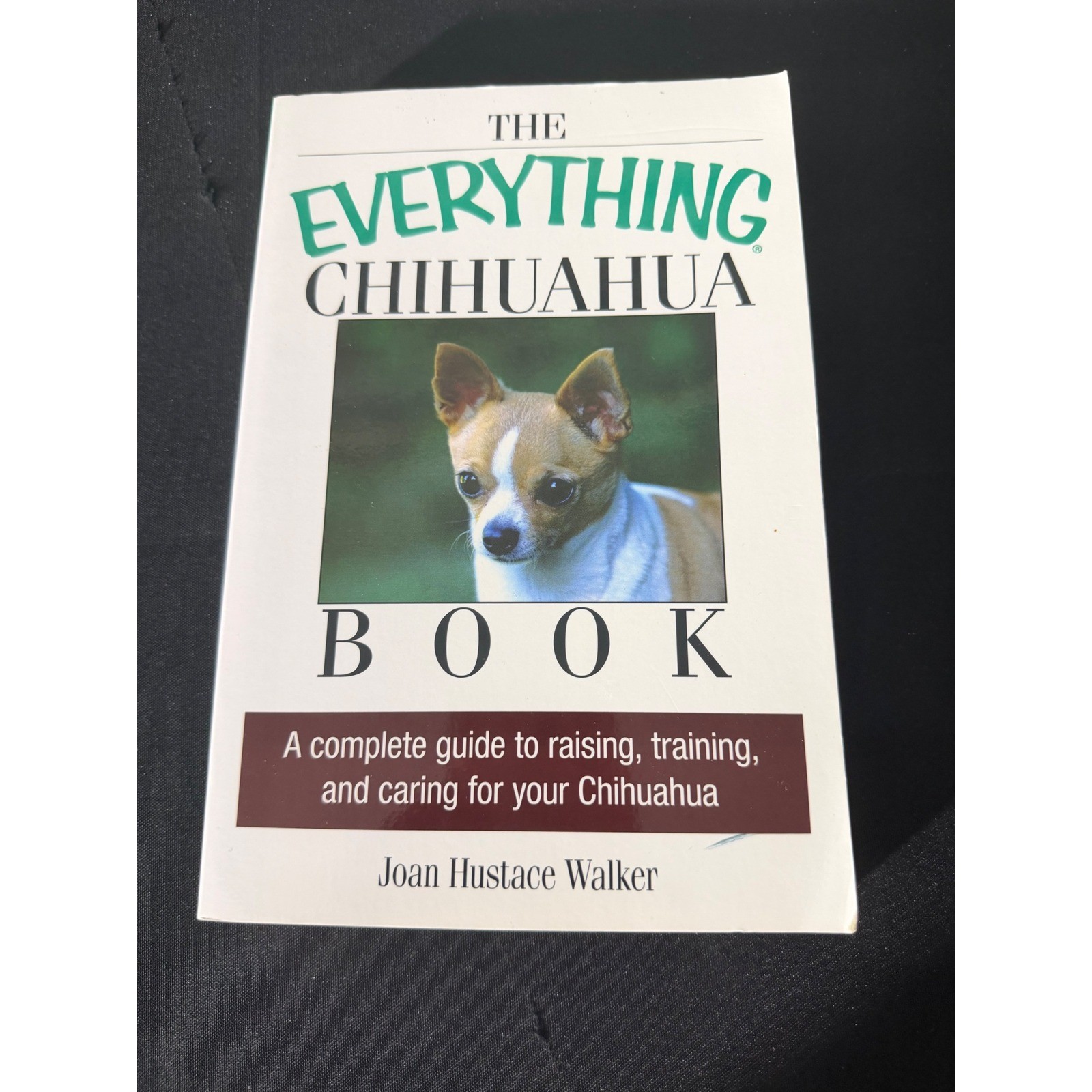 Adams Media The Everything Chihuahua Book Paperback White Excellent Pet Guide