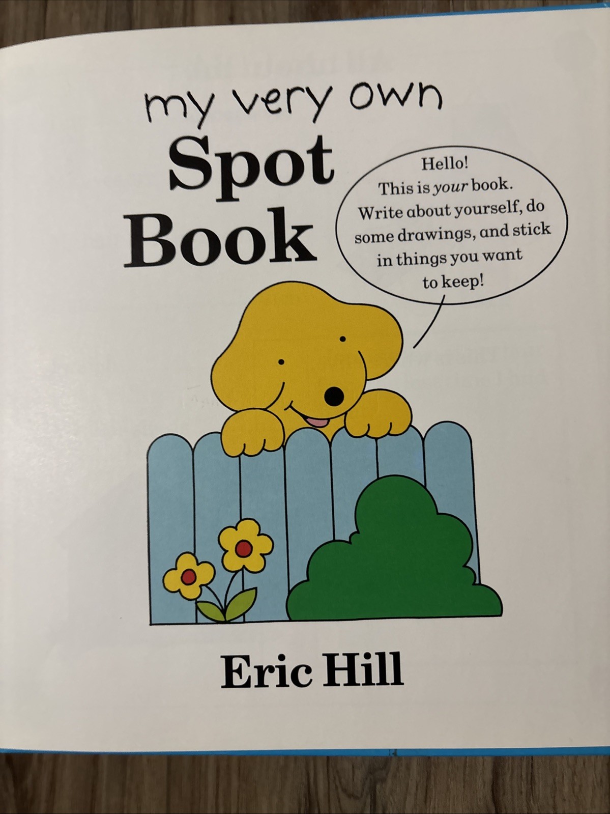 Spot Board Books Lot Of 4 Eric Hill Lift The Flap Books