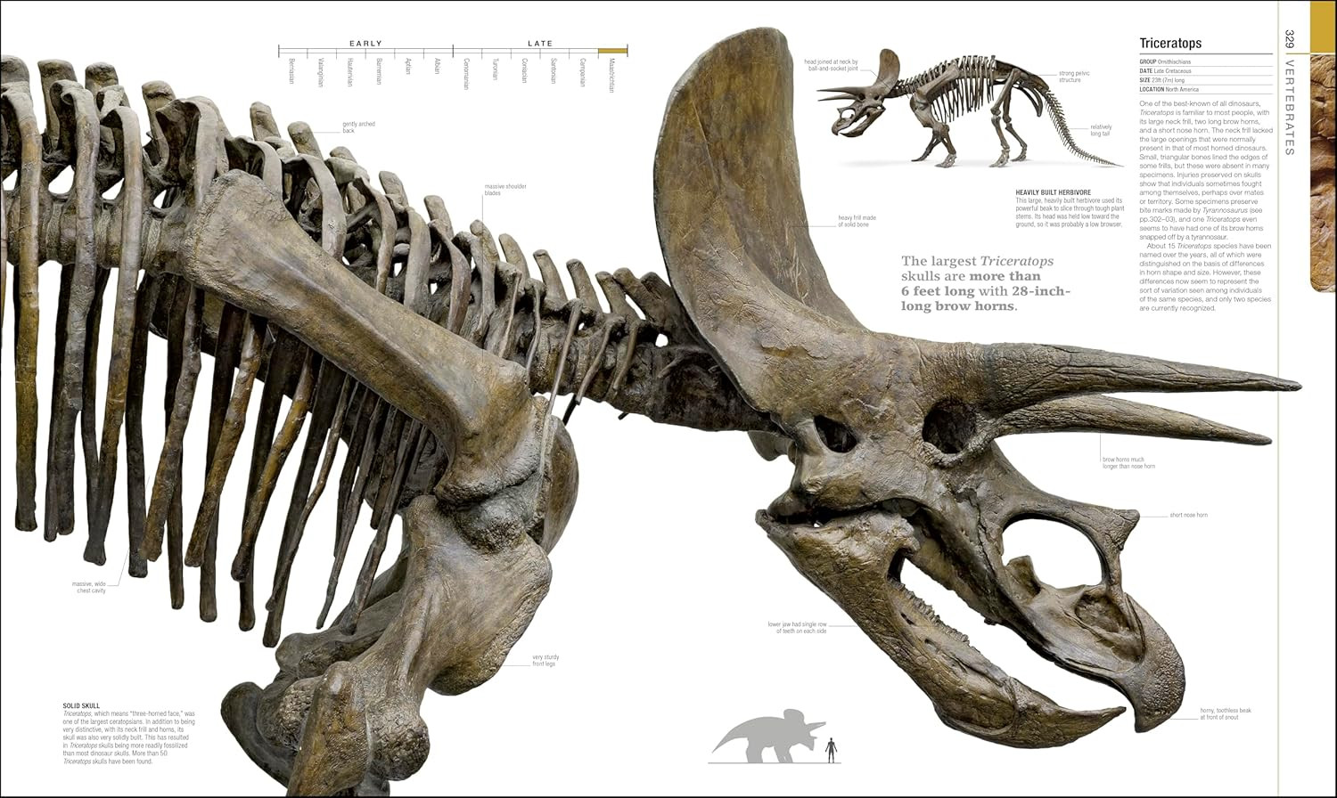 Dinosaurs and Prehistoric Life: the Definitive Visual Guide to Prehistoric Anima