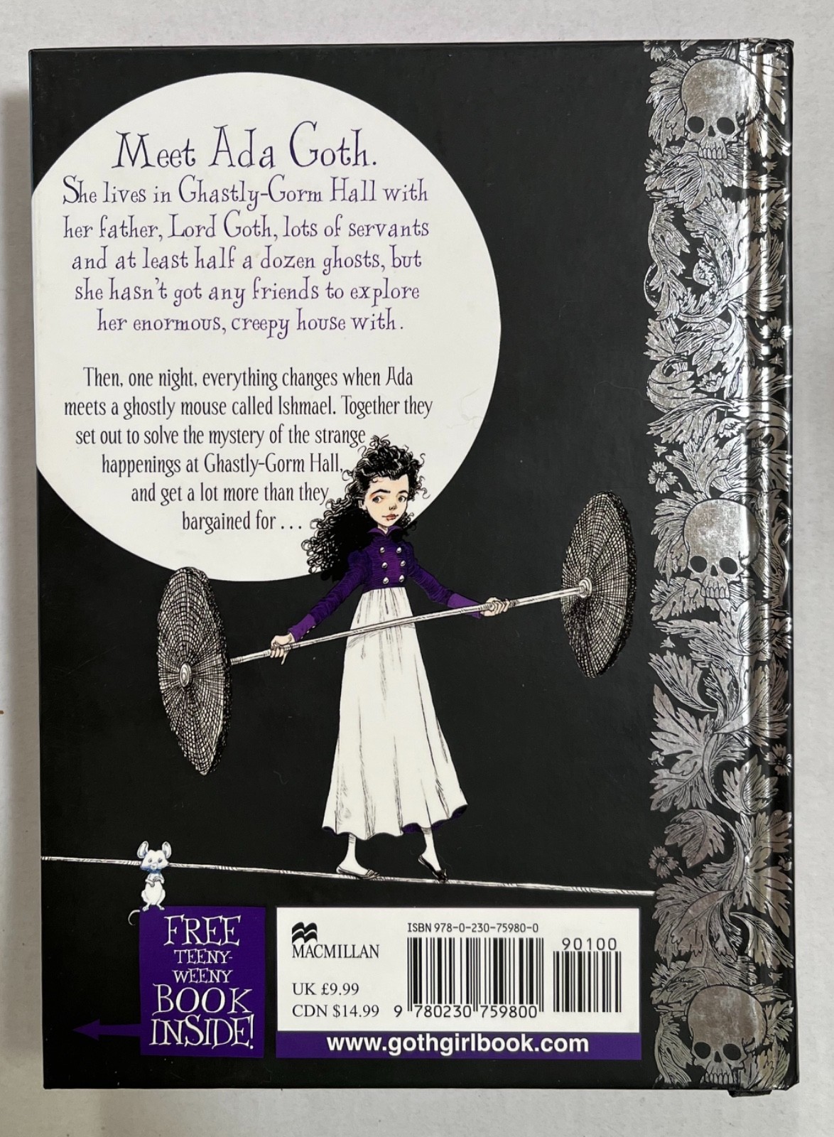 Goth Girl Series (4 books) – Chris Riddell – Hardcover