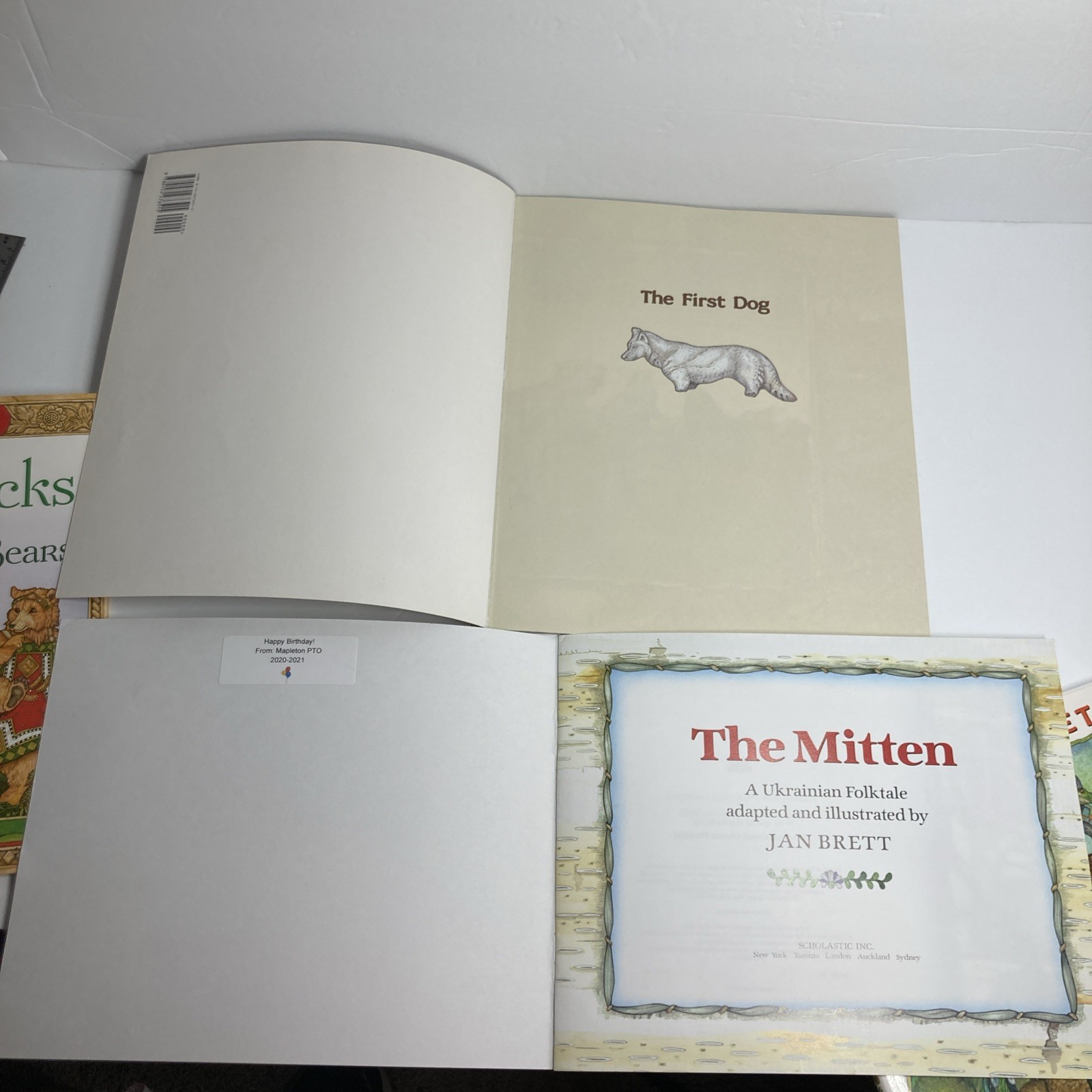 Jan Brett Books Lot of 4: Mitten, Umbrella, Goldilocks, First Dog Paperback