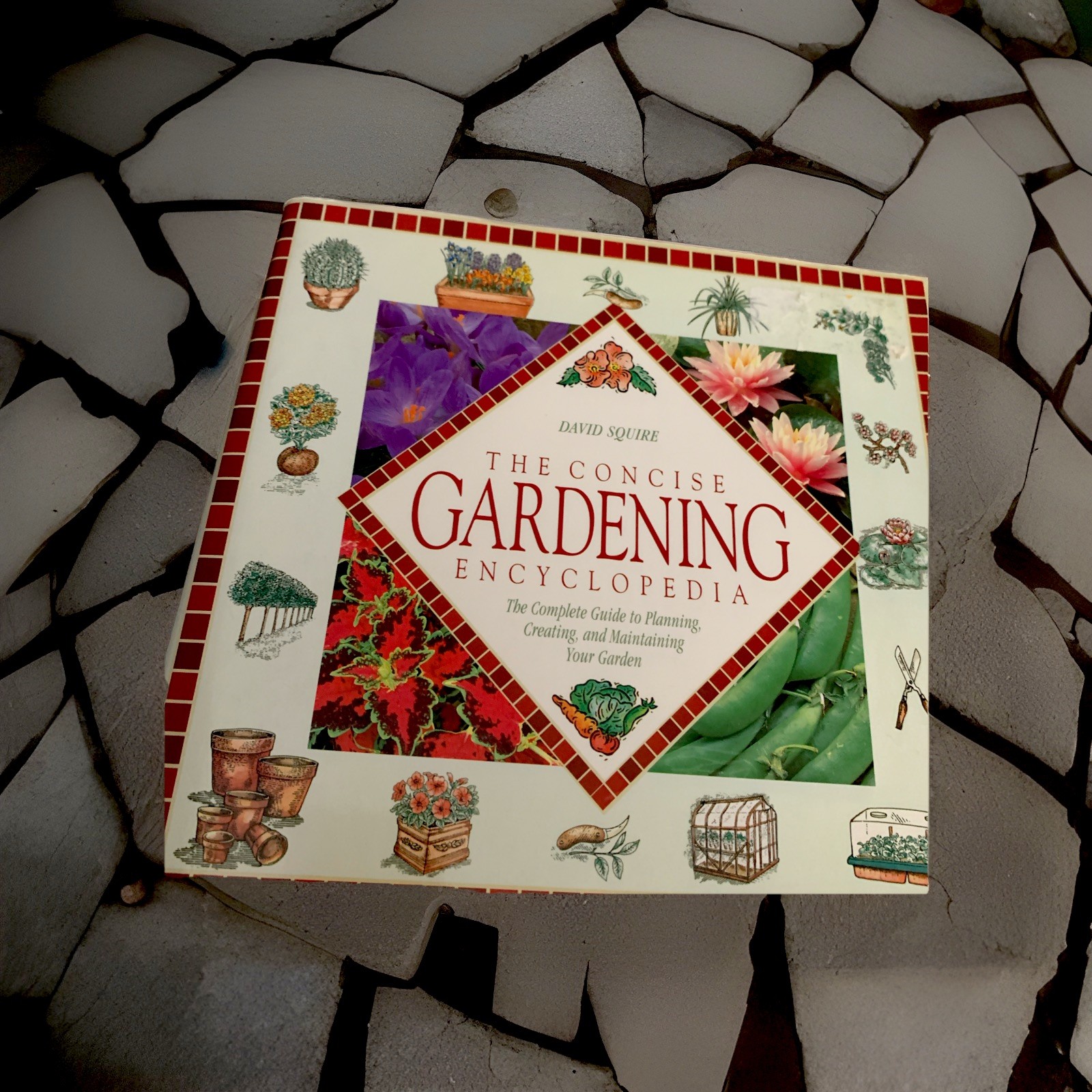 The Concise Gardening Encyclopedia By David Squire
