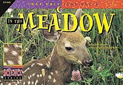 In the Meadow Paperback David M. Schwartz