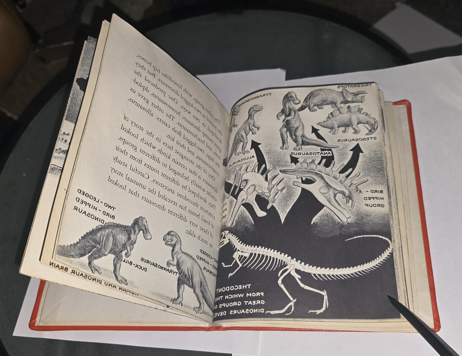 DINOSAURS True First Edition 1954 by Herbert S Zim Hardcover RARE School Library