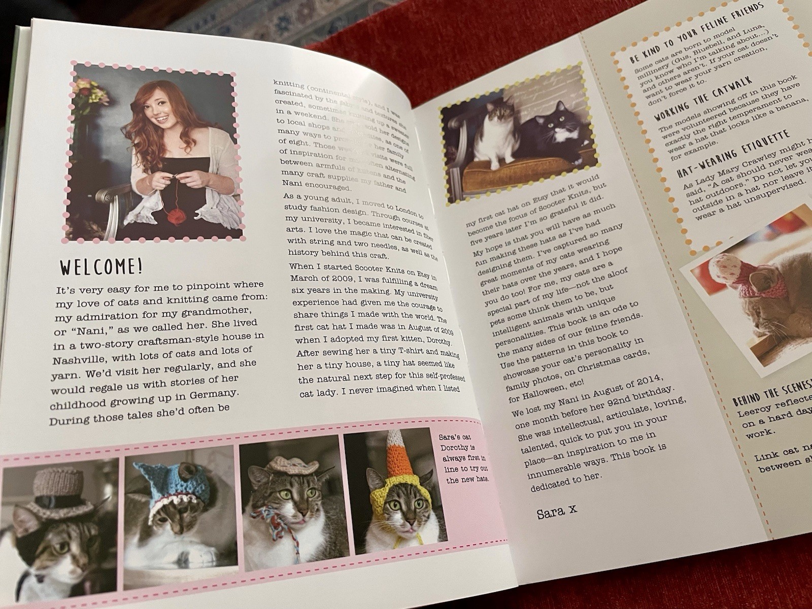 Cats in Hats: 30 Knit & Crochet Patterns for Your Kitty- Sara Thomas EUC PB 2015