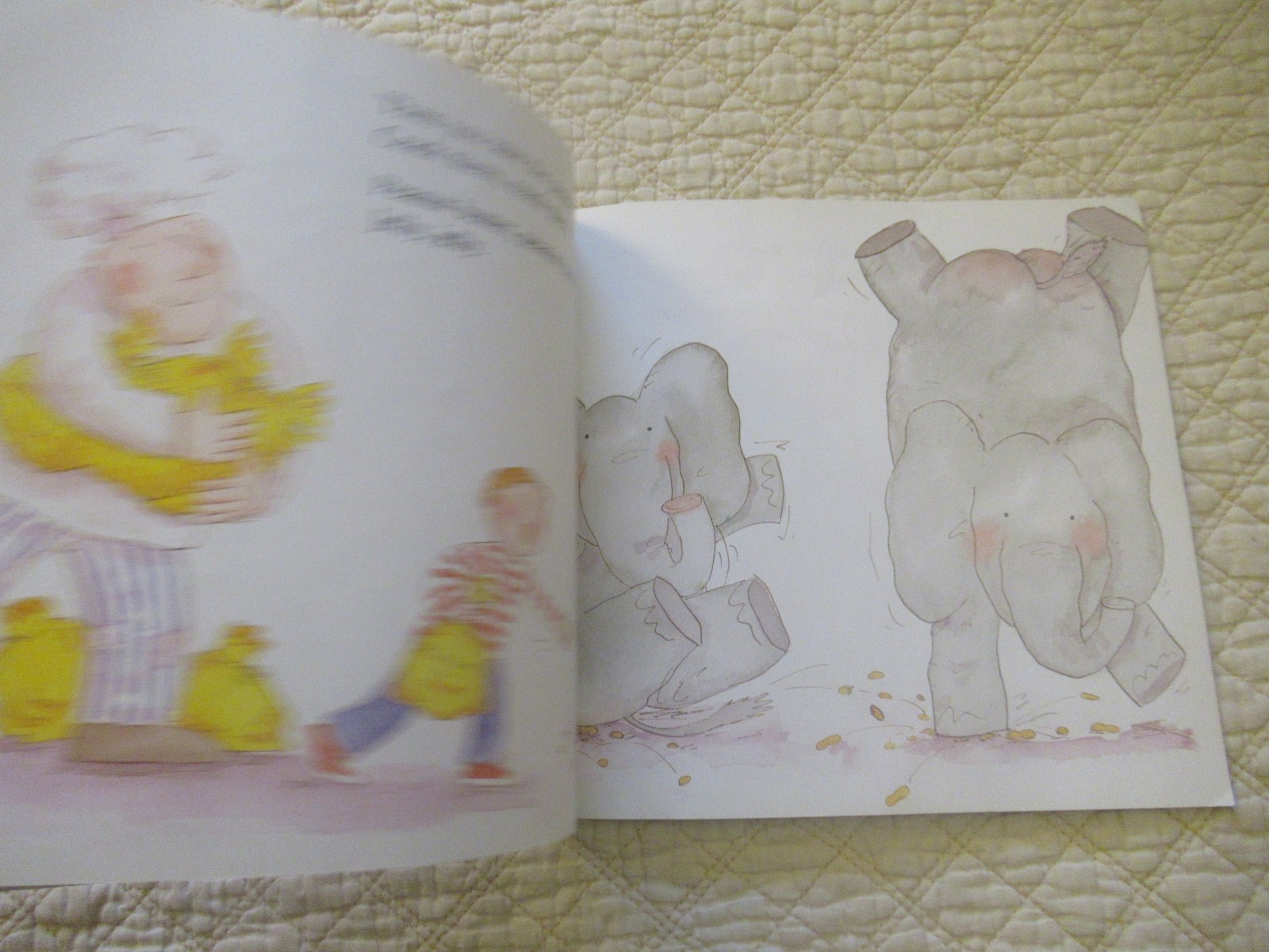 Childrens’ Book Collection Mixed Lot (12-Set)
