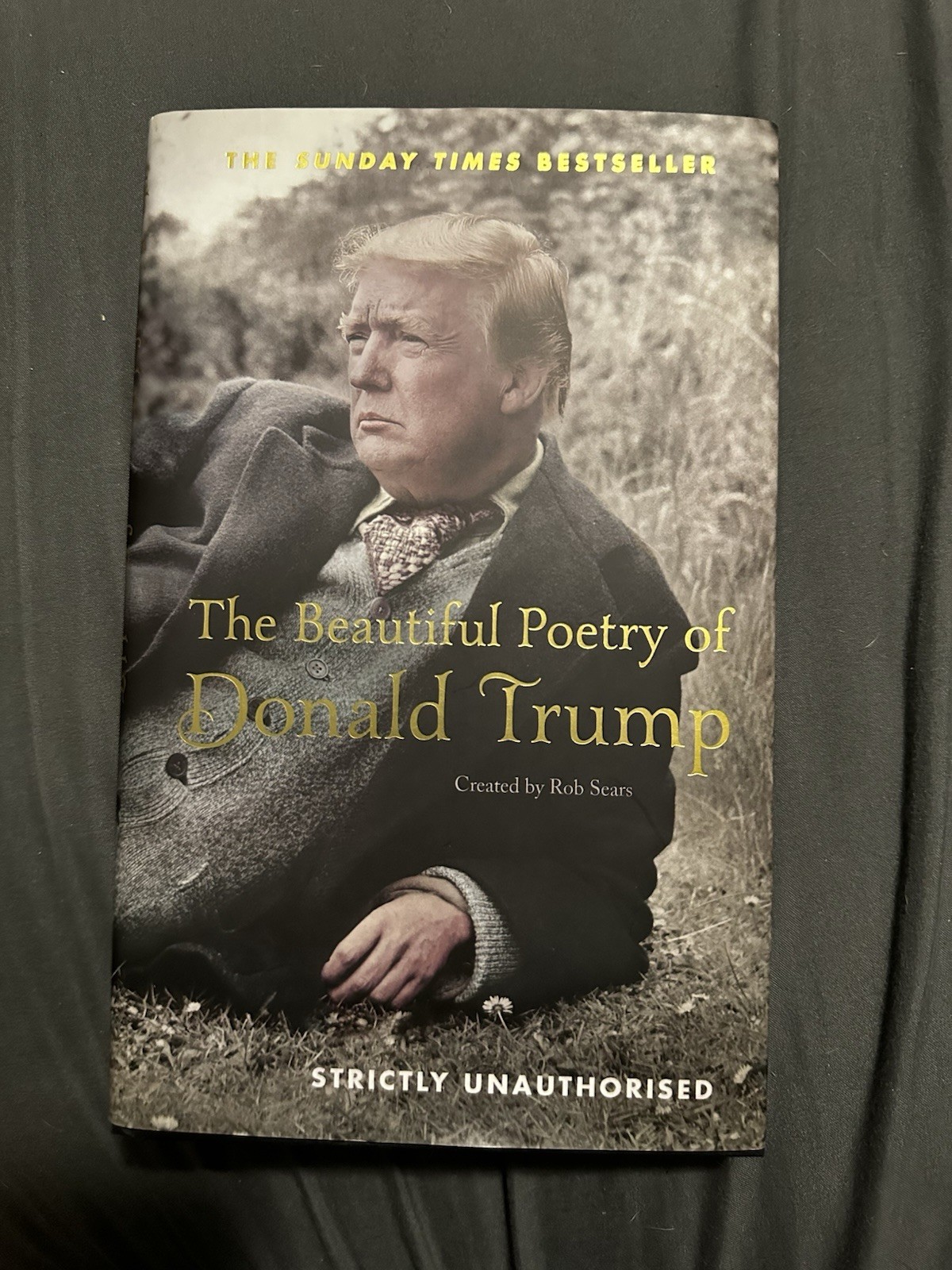 Beautiful Poetry of Donald Trump by Robert Sears (2017, Hardcover)