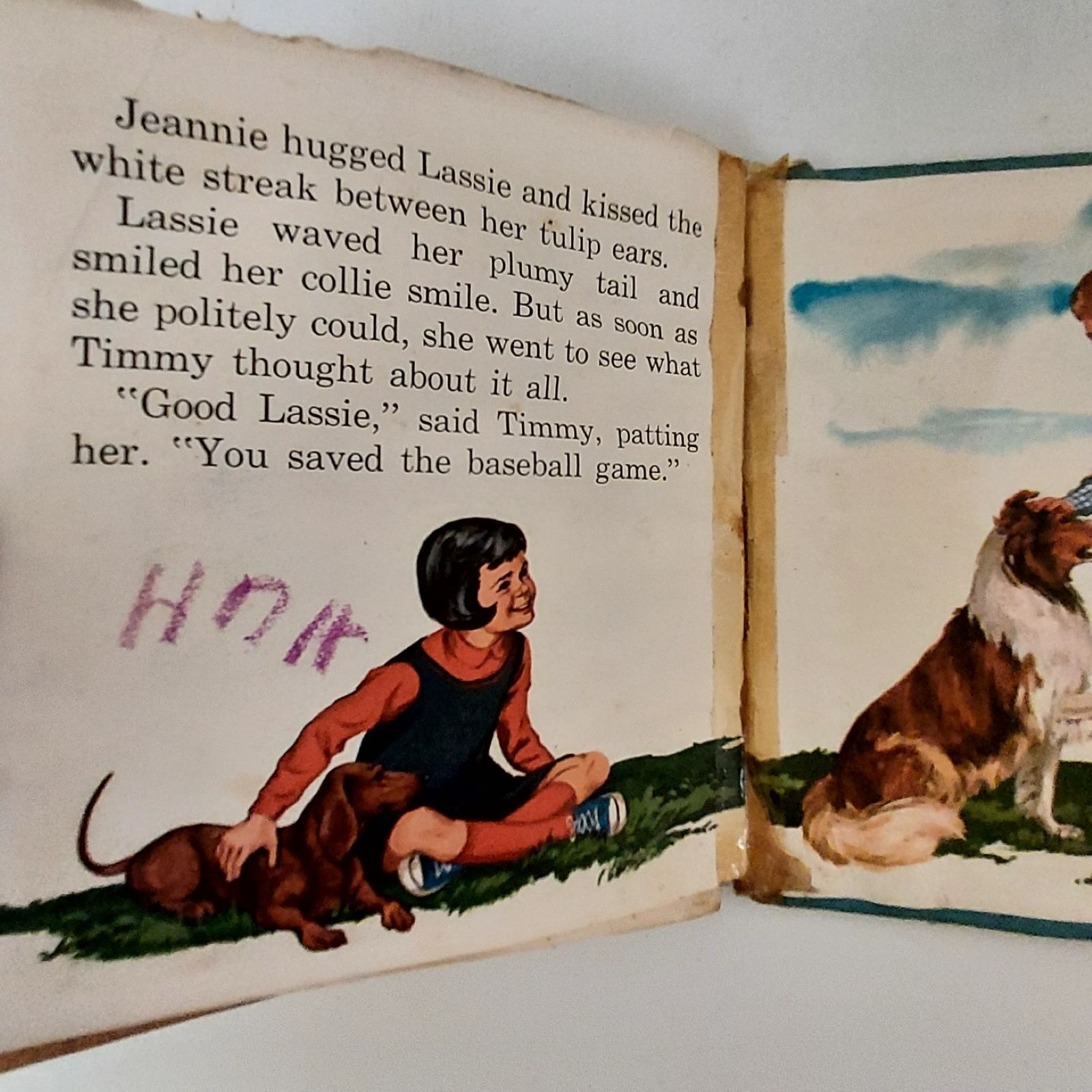 Vintage Lassie Trouble at Panter’s Lake 1982 Hooray for Lassie 1964 First Editio