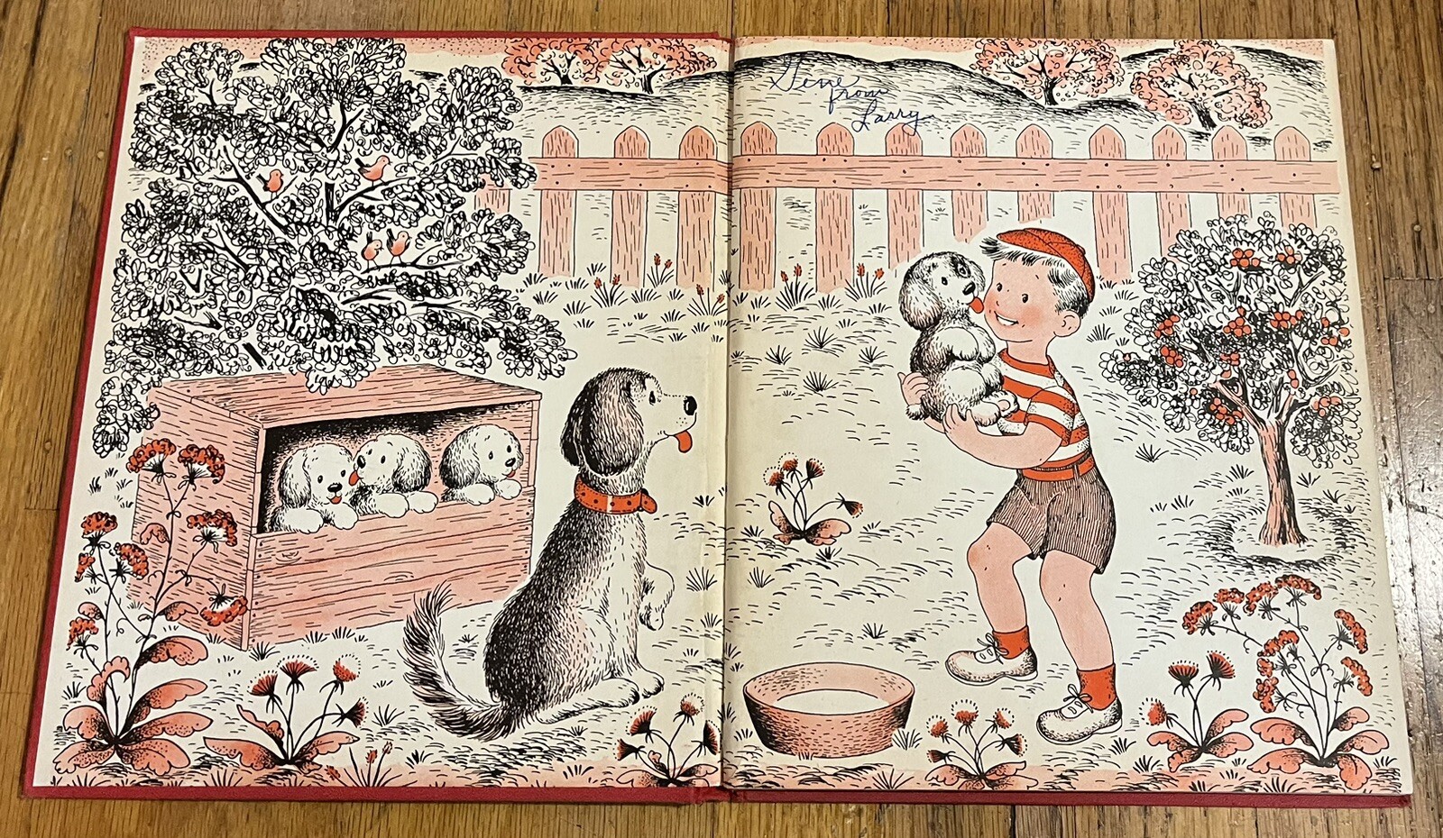 DAVID’S SILVER DOLLAR : Elizabeth Squires : Margot Austin : vintage Platt & Munk