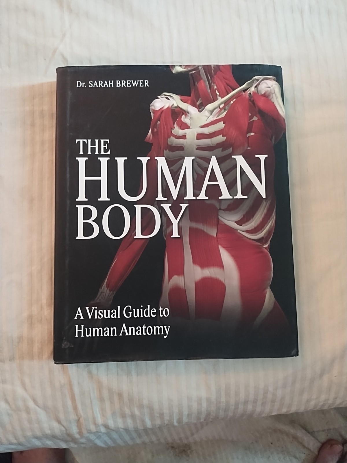 The Human Body: A Visual Guide to Human Anatomy by Dr. Sarah Brewer